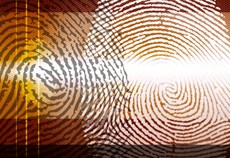 Digital Fingerprinting